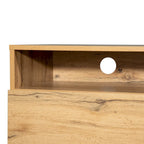 Modern TV Stand for 80 TV with Double Storage Space